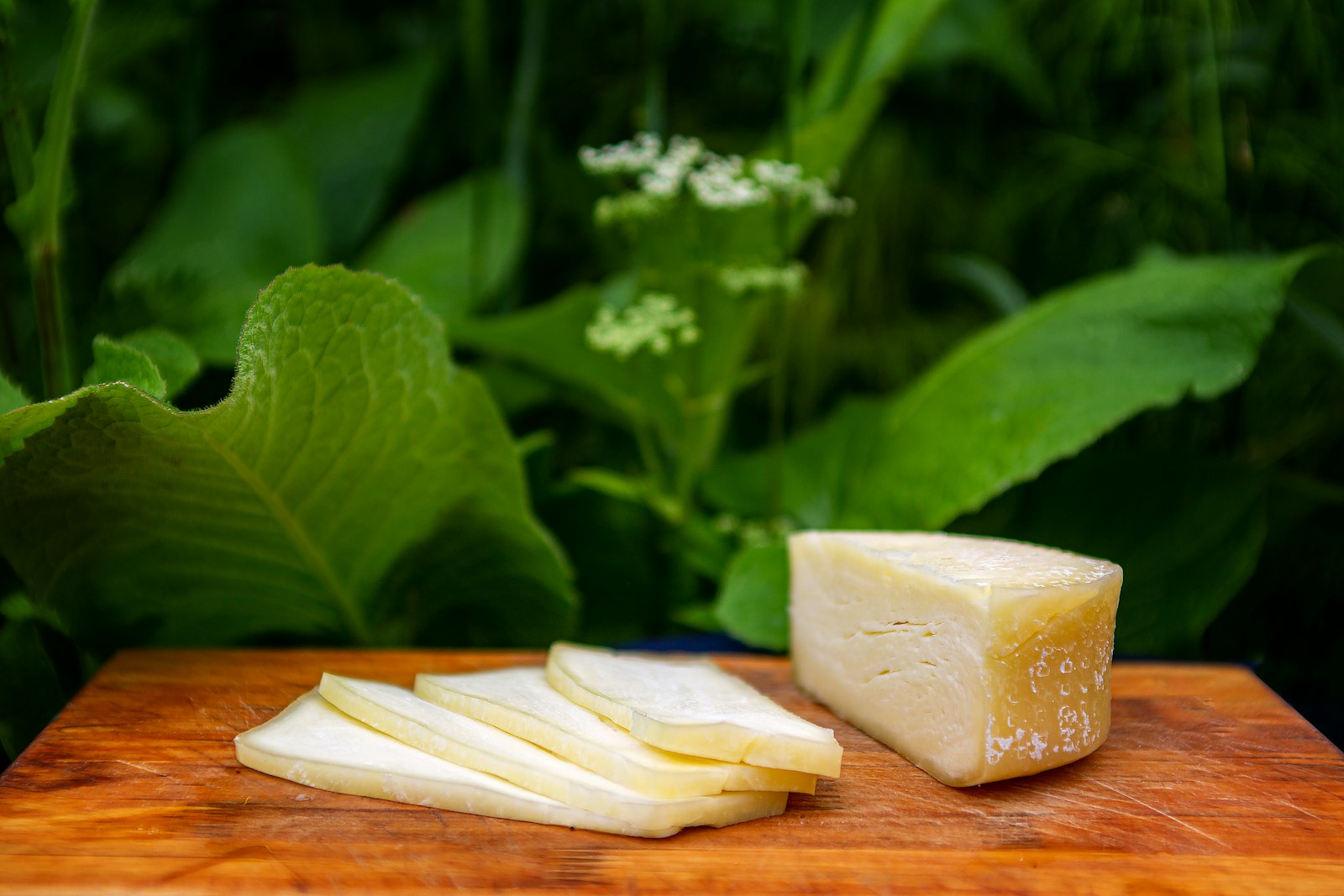 A wheel of mountain cheese on a wooden board