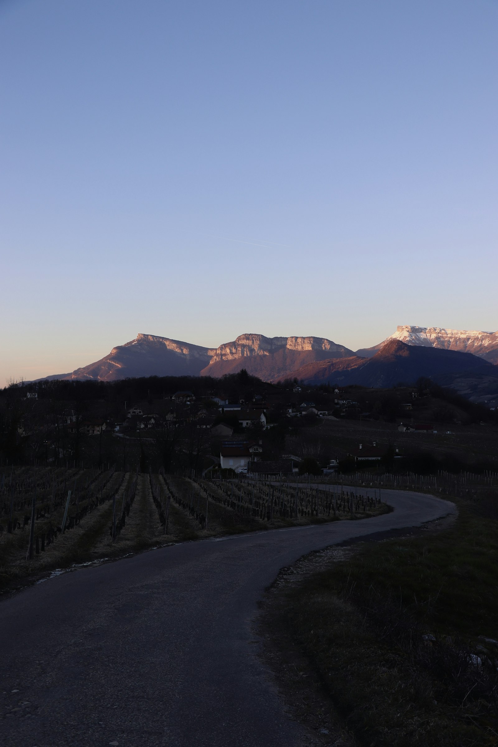 A road winding through vineyards towards distant Alpine mountains